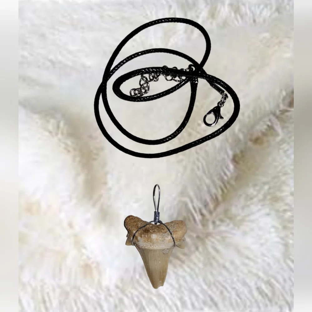 Fossilized Shark Tooth Pendant and Black Cord Leather Necklace